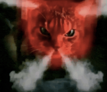 Moon Cat tweet media