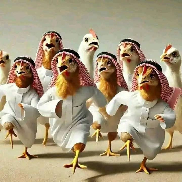 a1r2s3z4's tweet photo. قادمون يا صنعاء 😂🤣😁
#السعودية #اليمن https://t.co/1SFhDPPwQK