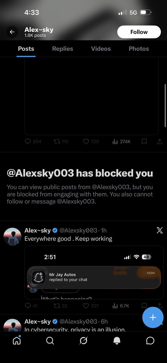 Alexsky tweet media