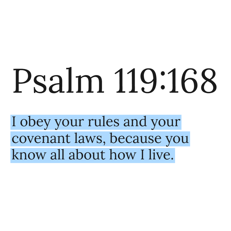 Holy Bible tweet media