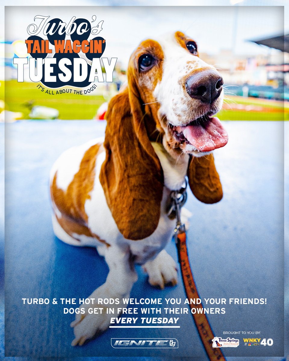BGHotRods's tweet photo. Who's bringing the ๐๐๐๐
๐๐๐ fan? ๐ถ
Turbo's Tailwaggin' Tuesday is just one week away, and dogs get in FREE with their owner! Don't wait & get your tickets today ๐
๐๏ธ : https://t.co/Dxu1pJIU8f
#RevItUp๐๐จ | #MiLB โพ https://t.co/oJ8ZvTrBsK