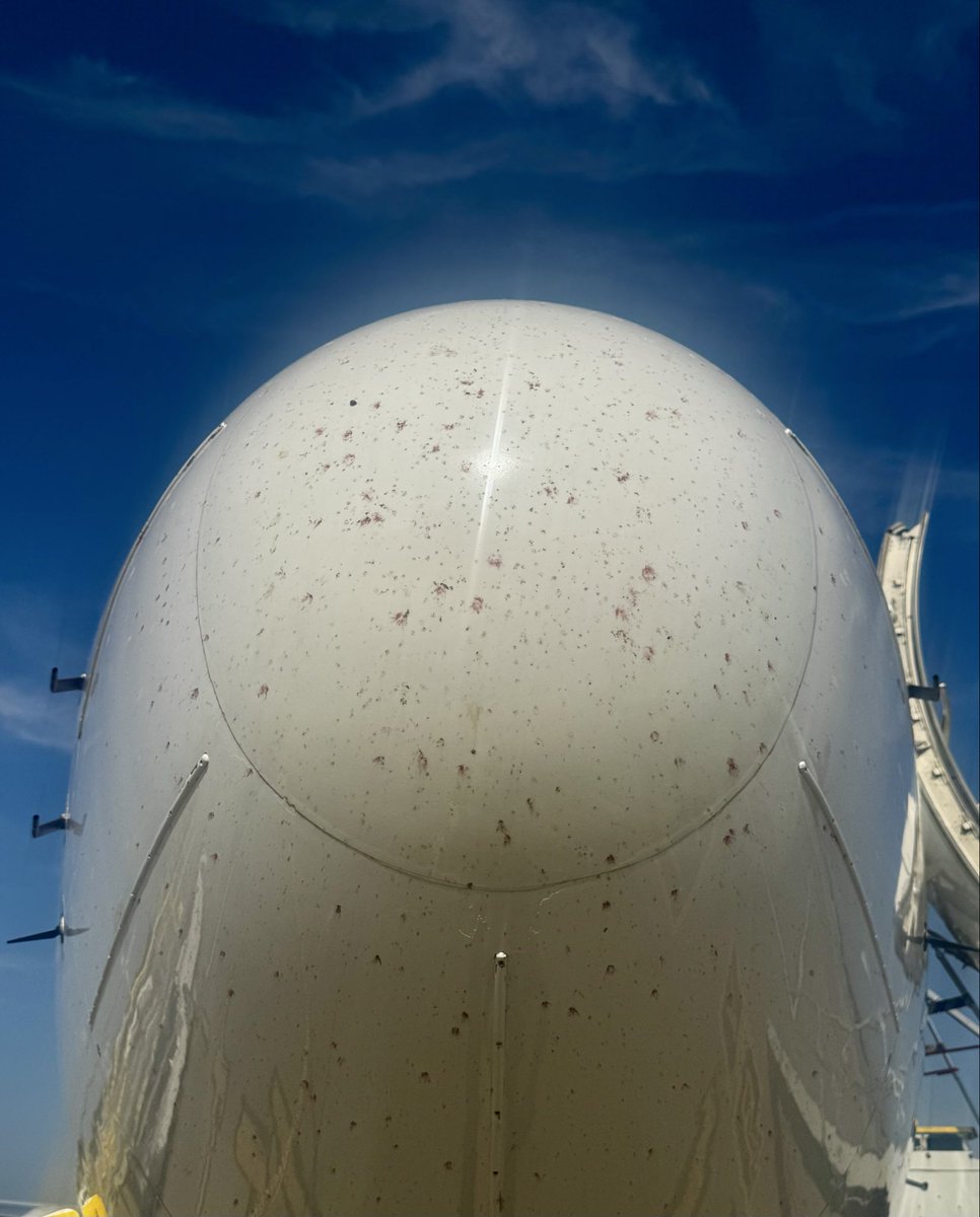 Barbell_737's tweet photo. Spent the whole day engaging in  aerodynamic pesticidal massacres aka Boeing went SPLAT!!!! https://t.co/08utEEjJmW
