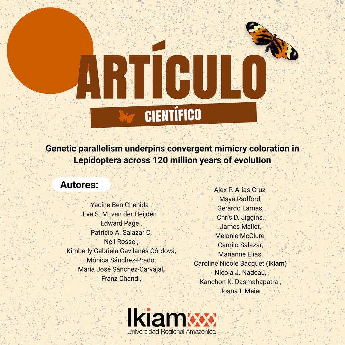 u_ikiam's tweet photo. 🦋🔬 La docente de Ikiam Caroline Nicole Bacquet junto a un equipo internacional de investigadores, publicó el artículo “Convergent evolution of mimicry is associated with repeated evolution of regulatory switches” en la revista científica PLOS Biology, indexada en Q1, una de las categorías de mayor impacto académico.

El estudio analiza cómo distintas especies de mariposas y polillas han evolucionado de forma independiente para desarrollar patrones de color similares, demostrando que la evolución reutiliza mecanismos genéticos comunes incluso después de millones de años de separación evolutiva. Este hallazgo aporta evidencia clave para comprender la predictibilidad de la evolución y el origen del mimetismo en la naturaleza.

🔬 Conoce más sobre esta investigación:
https://t.co/AAwQ6JETv8