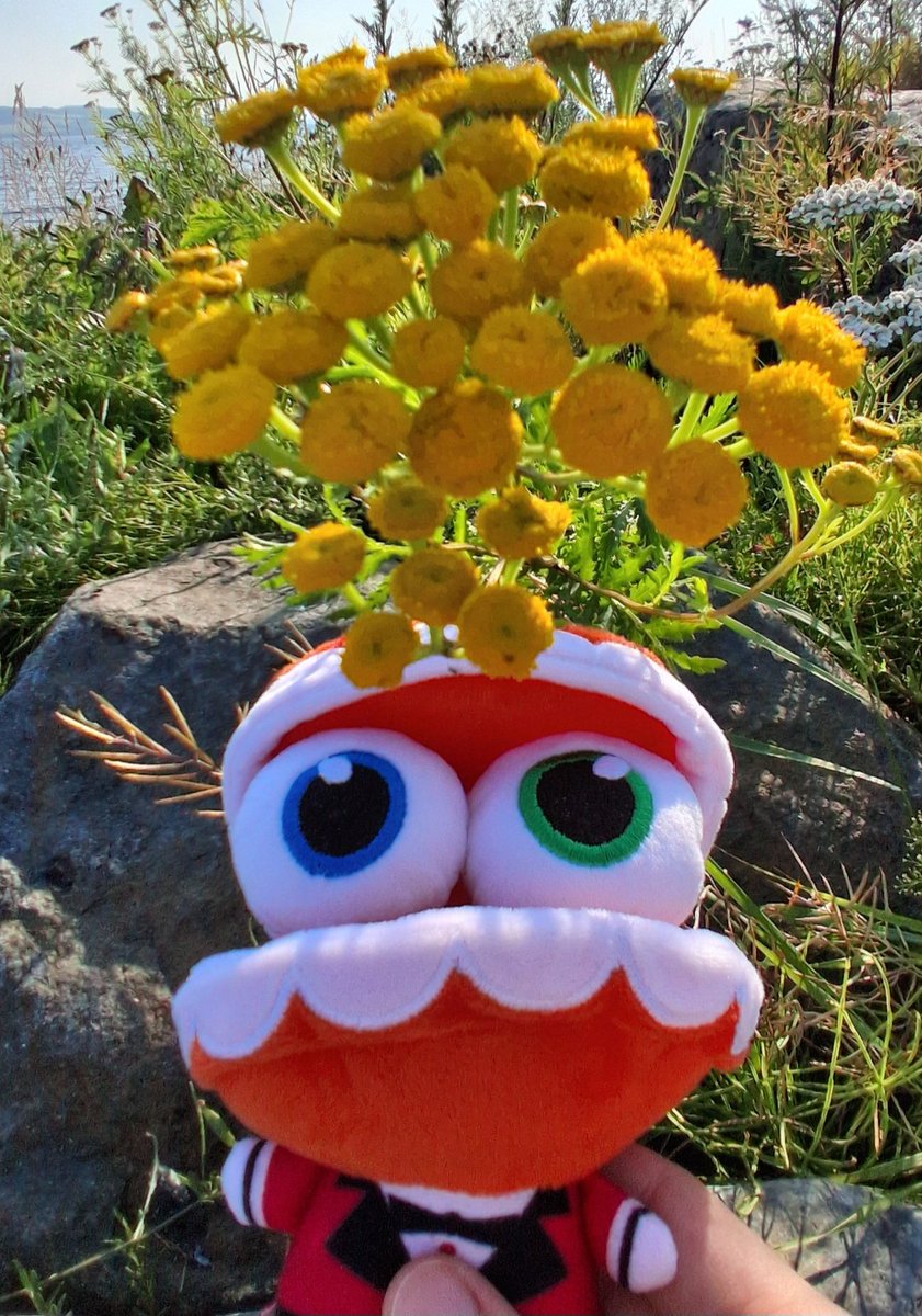 🌈bloomy 🌼 tweet media