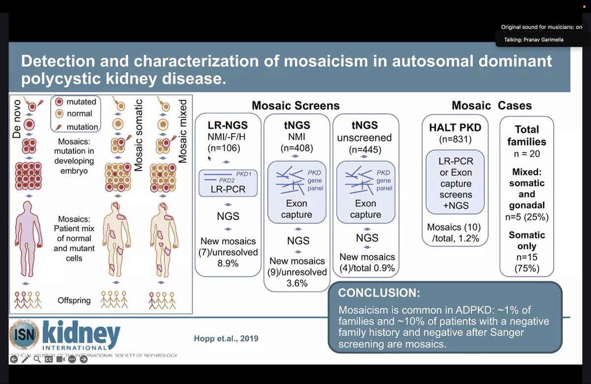n0r0zha's tweet photo. Great learning today from Dr. Garimella and Dr. Dahl during an interactive case-based discussion at #PKDMDP @GlomCon https://t.co/XN5l6U9xuE