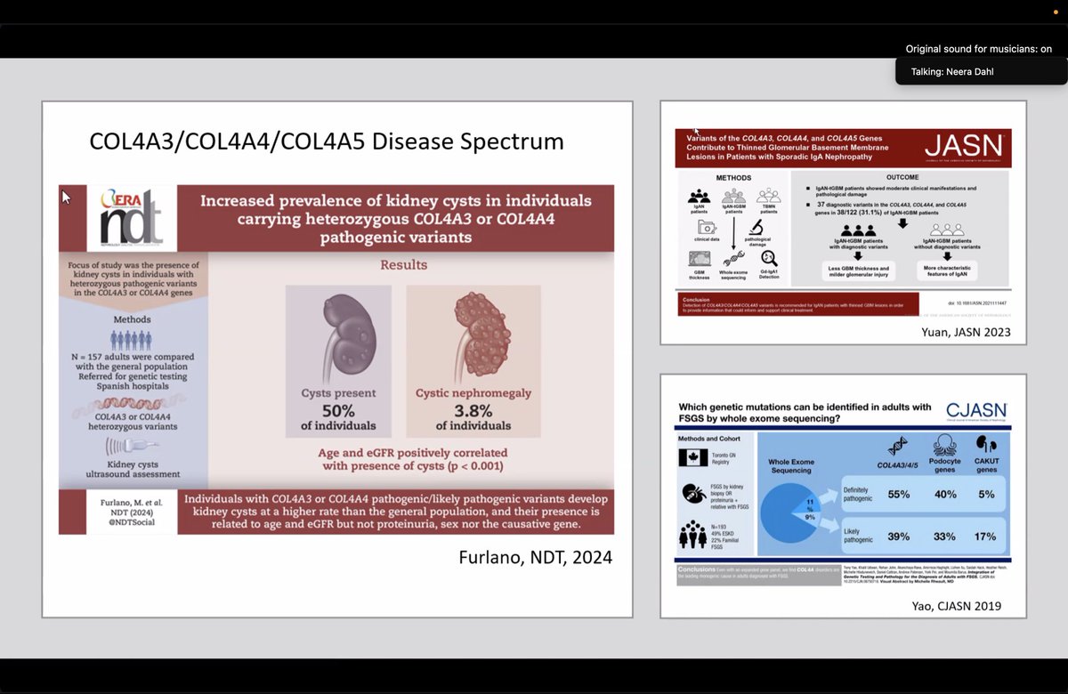 n0r0zha's tweet photo. Great learning today from Dr. Garimella and Dr. Dahl during an interactive case-based discussion at #PKDMDP @GlomCon https://t.co/XN5l6U9xuE