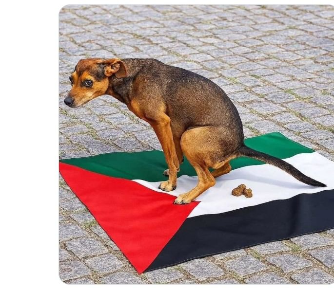 raelscheffer's tweet photo. @yousef_ki1 https://t.co/ZD4vuHNzCE
