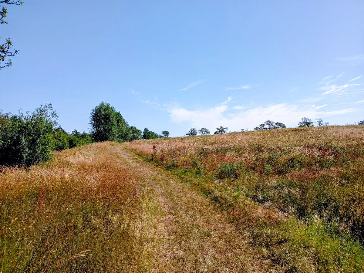 phil0073's tweet photo. #NorthamptonshireRound near #Hannington.
#PhilOnaBike #TuesdayTracks #FootpathFriday #BywayFriday https://t.co/OPVZlT6xS5
