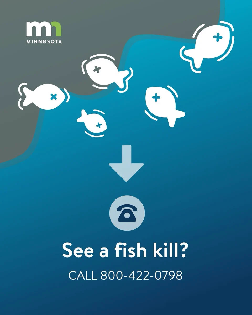 Icons of dead fish floating in a lake with an arrow pointing to a telephone and text reading "See a fish kill? Call 800-422-0798."
