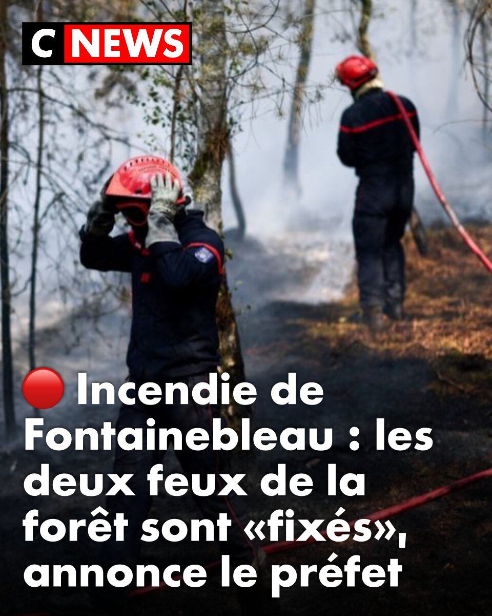 CNEWS tweet media