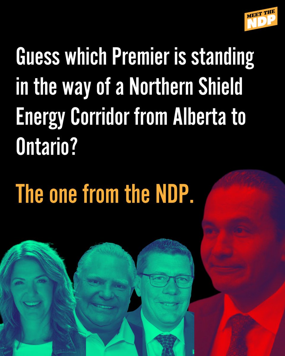 Meet the NDP tweet media