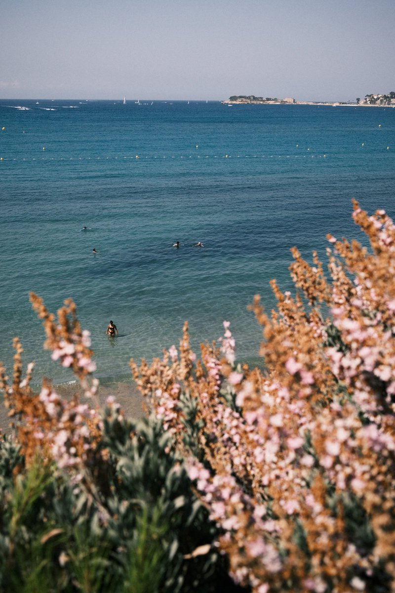 AtieBan's tweet photo. A touch of the Mediterranean https://t.co/aK5DOZzTjm