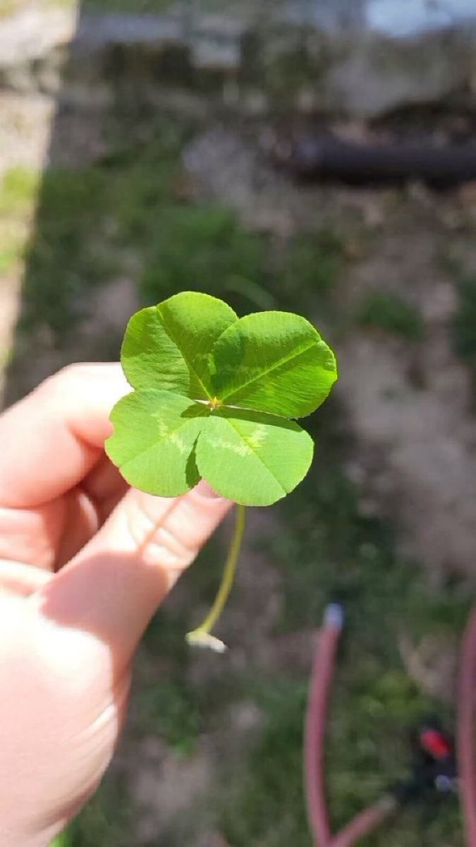 pozitifevibe's tweet photo. NO BAD LUCK IN JULY
NO BAD LUCK IN JULY
NO BAD LUCK IN JULY
NO BAD LUCK IN JULY
NO BAD LUCK IN JULY
NO BAD LUCK IN JULY
NO BAD LUCK IN JULY
NO BAD LUCK IN JULY https://t.co/1MqEo9iuVu