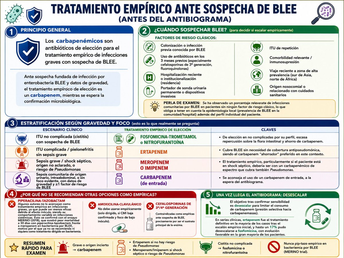 gabi_puchepalao's tweet photo. 🦠💊 ¿Sospechas una infección por BLEE? Hay una regla que no falla:

👉 Si el paciente está grave, el tratamiento empírico de elección es un CARBAPENÉMICO mientras esperas el antibiograma.

🧵👇 https://t.co/NFPpyHKrwg