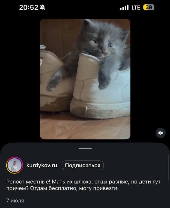 Еди tweet media