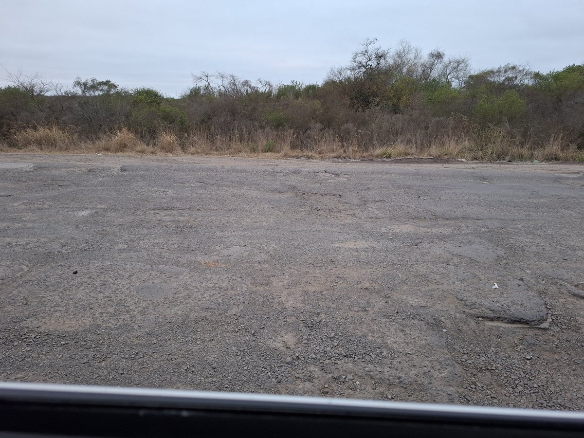 sdepetris's tweet photo. @JMilei un tirón de orejas para el encargado de mantener estas rutas. Muy peligrosas. La primer foto del Chaco, Ruta 89 entre Capdevila y Pinedo. La segunda ruta 127 entre Libertad y la Paloma. https://t.co/eA3C73l4wf