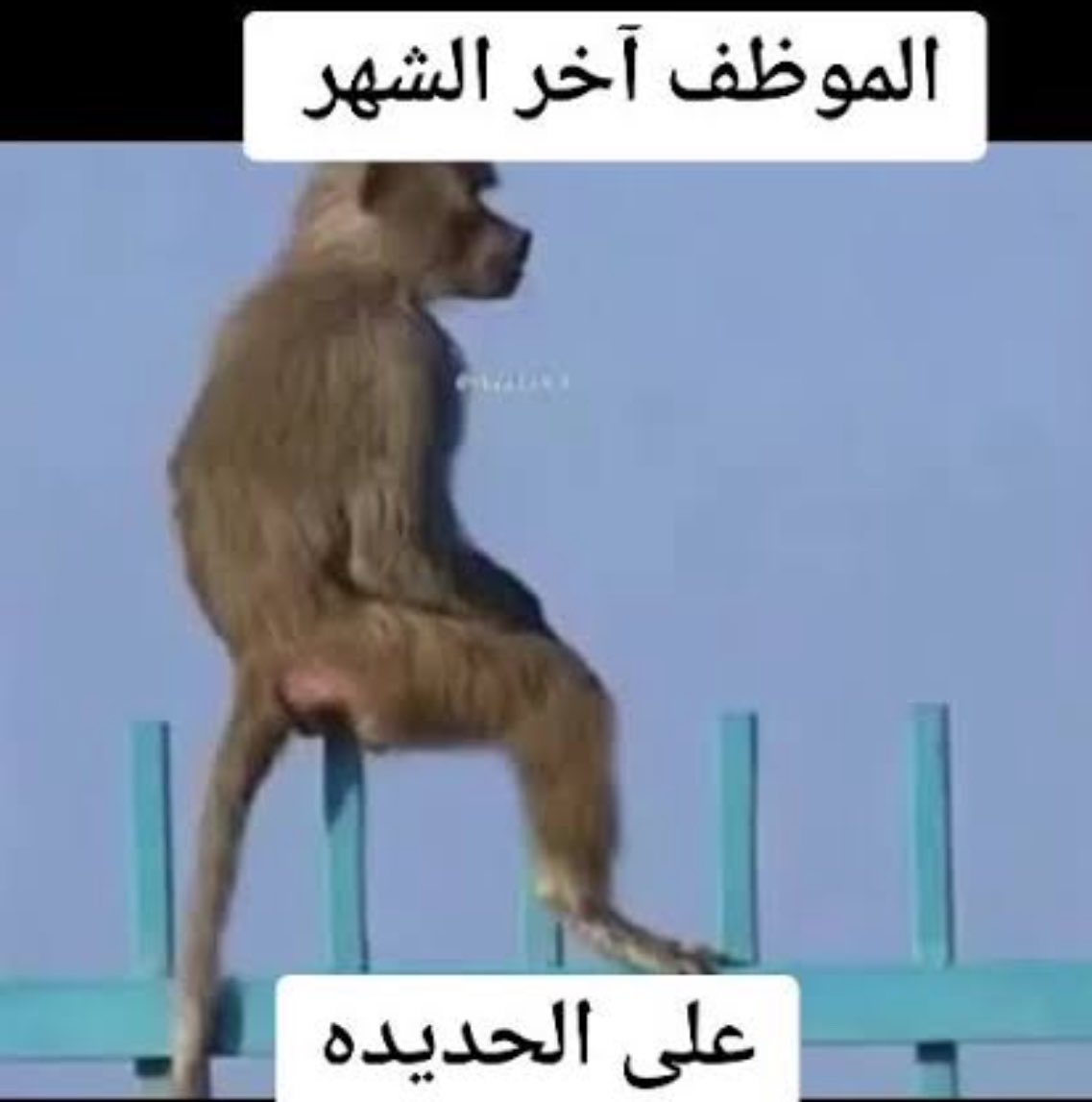 si8qx's tweet photo. @itsjoleo8 حاليا https://t.co/bkYd2Yg6m4