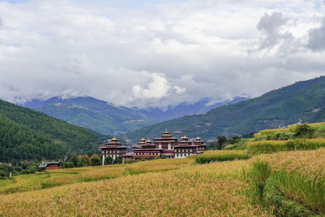 61atanoyan's tweet photo. Bhutan 🇧🇹
Egemen Mustafa Şener
#egemenmustafaşener #mustafaegemenşener #mustafaegemensener #egemenmustafasener #bhutan #timphu #doğakanat #bactrianmonk #himalays #salı #egemen #mustafa https://t.co/eJLTo7kVpe