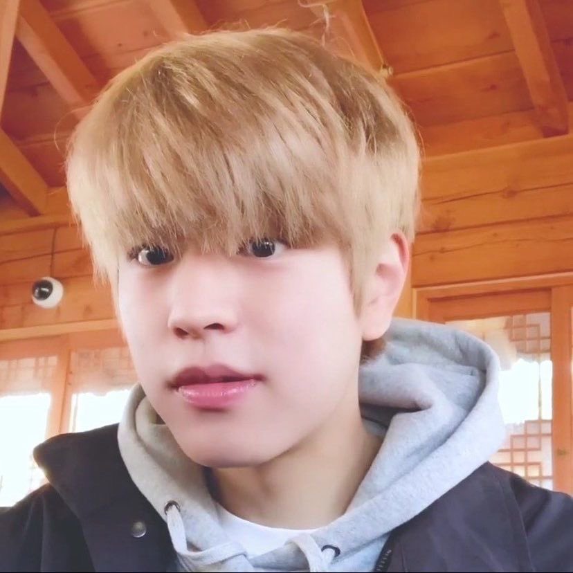 jo & that! 🍮 ˙ᵕ˙ tweet media