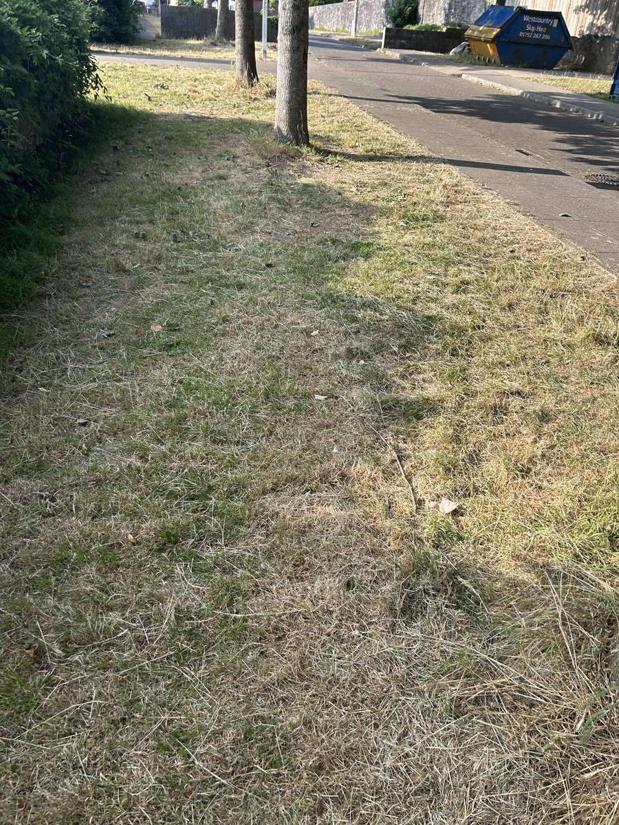 coker1mark's tweet photo. It’s a bit cooler tonight so did my usual litter pick around Mount Wise.
There are rubbish bins all along the sea front-please use them.
It’s tinder dry down here so please be careful with naked flames easily start a fire and we don’t want this beautiful area damaged.
#ilivehere https://t.co/zUbPPirqoA