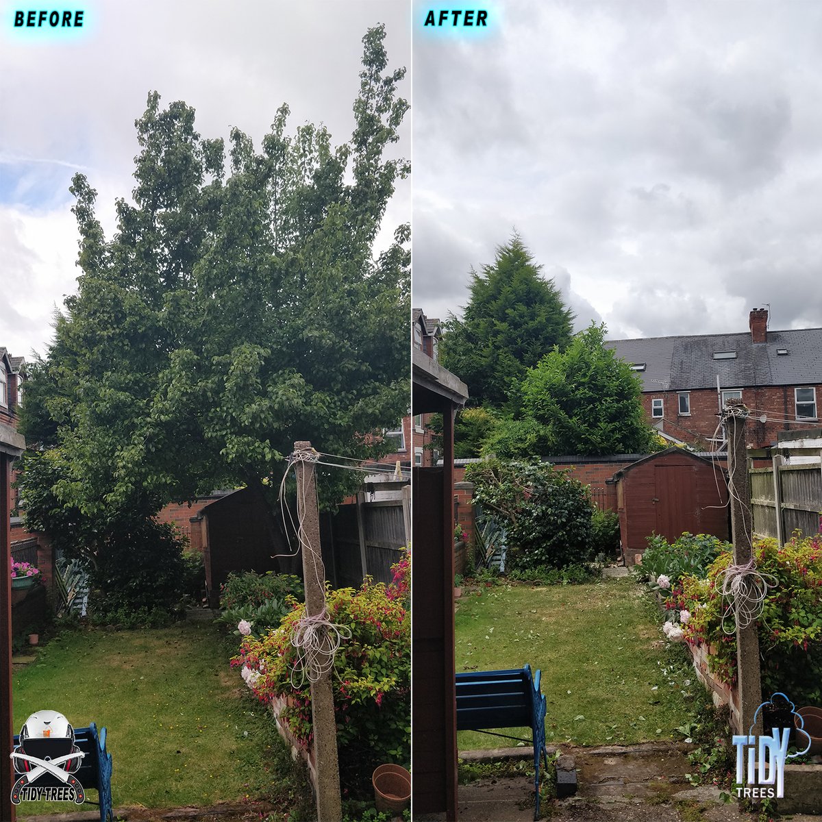 Tidy_Trees's tweet photo. Removing a small Pear tree in The Meadows Nottingham #TidyTrees #NottinghamTreeServices #NottinghamTreeSurgeon https://t.co/7NeniCn0ZQ