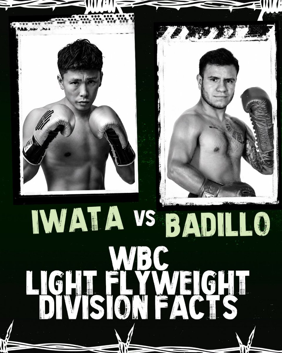 World Boxing Council tweet media