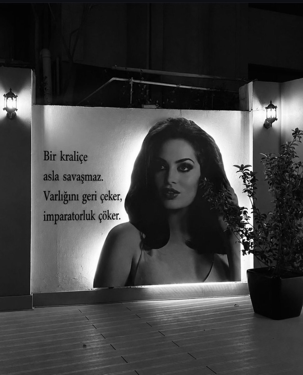 serpillendiniz's tweet photo. https://t.co/RZ8gUAWt1v