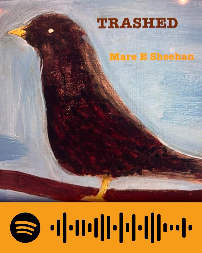 BeachCastingltd's tweet photo. @spotifydelights thanks for the play list add for Mare E Sheehan’s Trashed on @Spotify. Much appreciated MES xxx https://t.co/C6sXUNvFfK