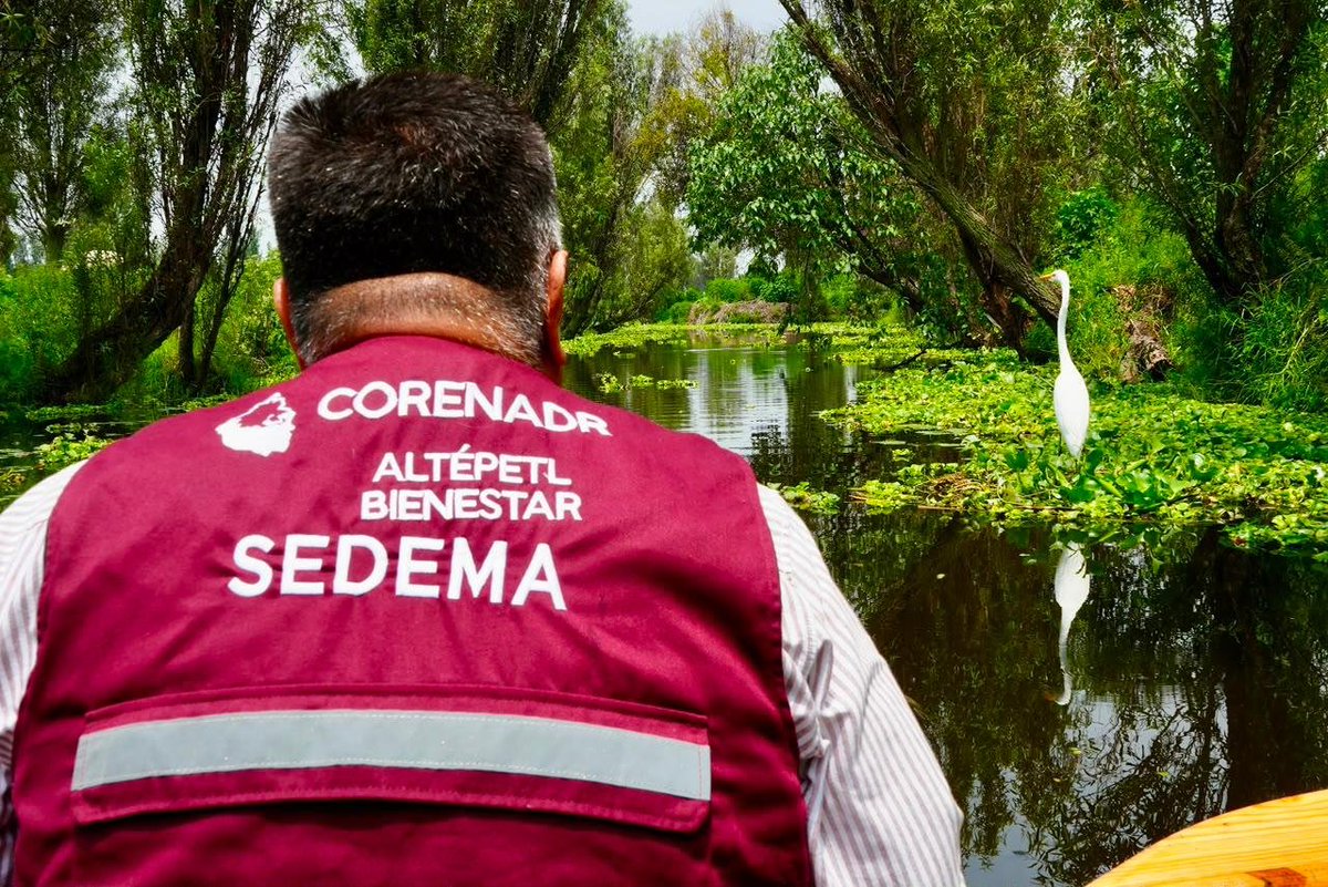 SEDEMA_CDMX's tweet photo. La secretaria @Jualicra realizó un recorrido por los canales de Xochimilco junto con Humedalia para dar inicio a los trabajos de planeación del control de especies invasoras.

Esta acción fortalece la protección de los humedales y la conservación de la biodiversidad de uno de los ecosistemas más importantes de la Ciudad de México.