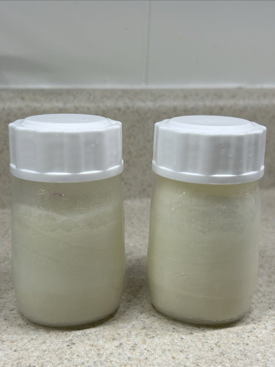 SirenRexx's tweet photo. The (frozen) breastmilk I’ve collected recently. 🥛#lactation #breastmilk https://t.co/VhYy1VKuCV