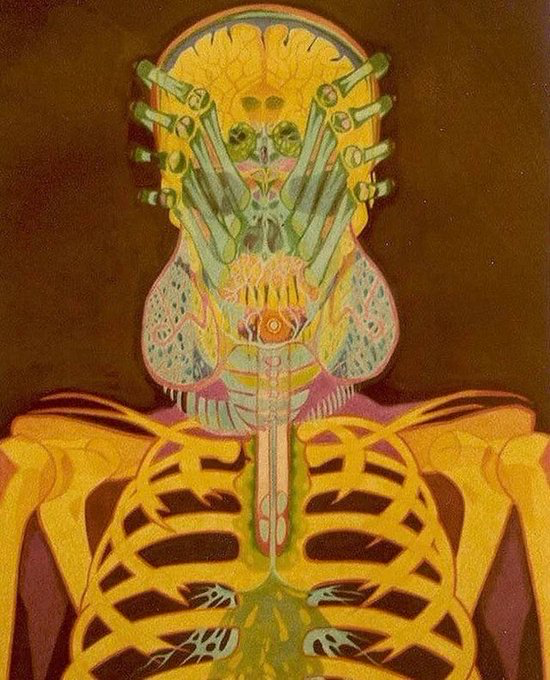 TheCinesthetic's tweet photo. Joe Petagno’s concept art for the facehugger in Alien (1979). https://t.co/uJE5T2VlxV