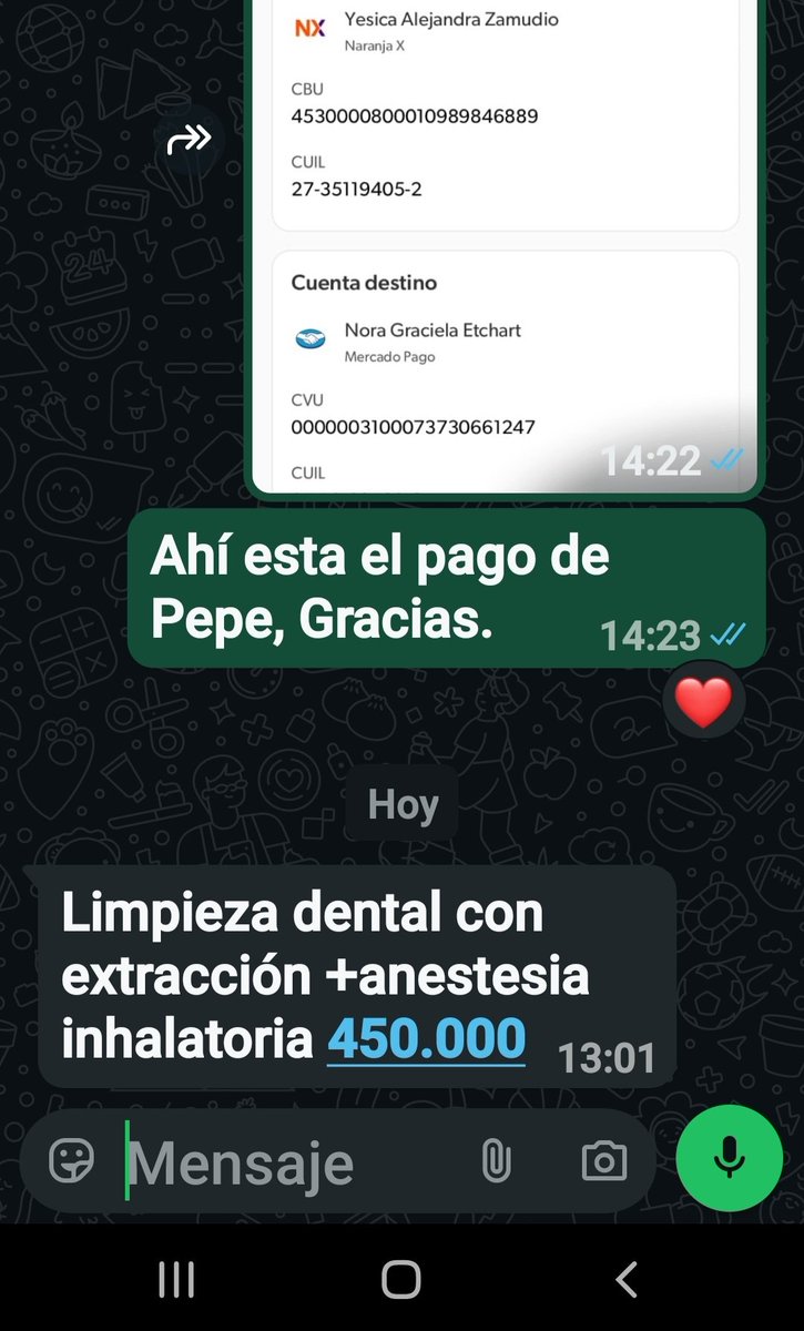 Ye94316774's tweet photo. Pepe tiene un plus a su cadera 😔 
Sus dientes, uno esta para extracción. Operarlo vale una fortuna para alguien con mi económia 🤦‍♀️
Pero mientras tanto puedo ponerle gel bucal de limpieza y cuando sea necesario volver a dar antibióticos 🤷‍♂️ https://t.co/Q8zsNRaHO5
