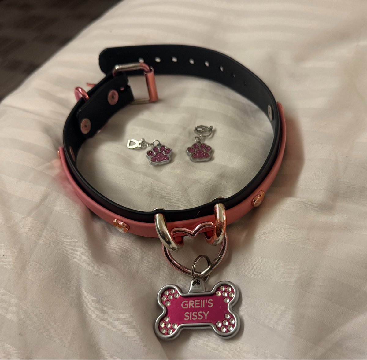 GreiiMutt's tweet photo. i think it’s cute that you can see where my pup’s custom collar is wearing down from all the abuse over our many sessions <3 https://t.co/IdNP0yHVvv