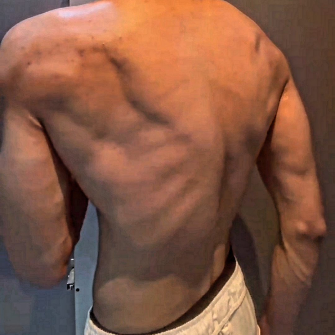 cipherliftsonig's tweet photo. Back update https://t.co/pocj1K3s4i