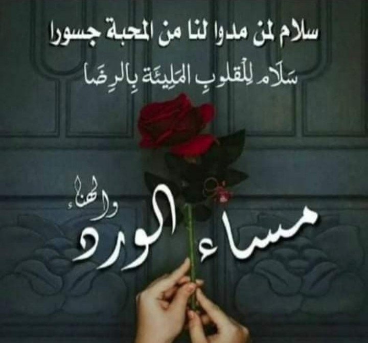 ⁑ٱلُــُفُــُُـيُـُّـصُـُلُ‘ـُ🔅 tweet media