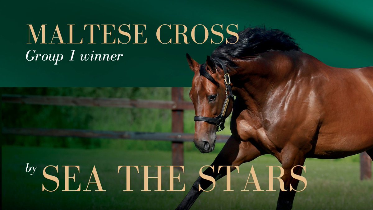 AgaKhanStuds's tweet photo. 🏆 Maltese Cross becomes the 2⃣5⃣th Group 1 winner for #SeaTheStars!

The @EpsomRacecourse Derby runner-up goes one better in the Grand Prix de Paris @paris_longchamp. Congratulations to breeders Ecurie Du Sud &amp; Ecurie Gribomont, owner George Waud and @WilliamHaggas. 👏👏👏 https://t.co/pUsFBAyzvG