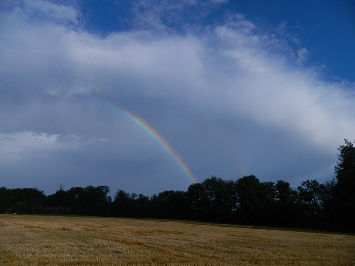 ghostyyaltair's tweet photo. The storm left a little surprise today and its def one of my favorite things 🌈📷🥰

#rainbow #photography #hobbyphotographer #summer #nature #naturephotography #rain #sun #sky #skyphotography https://t.co/tNsArlUkVV