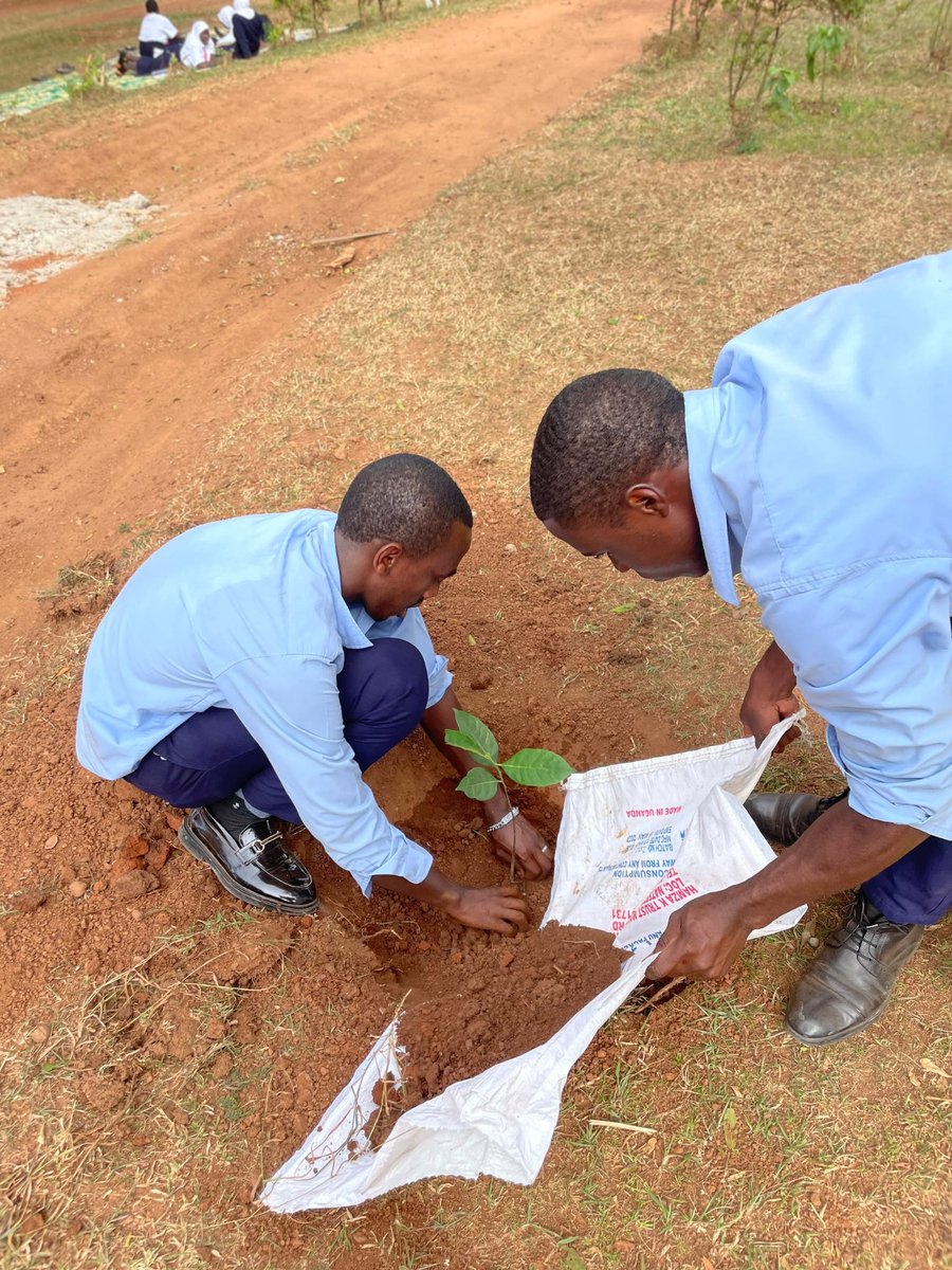 UReportUganda's tweet photo. Big shout outs to Aggrey Memorial School, Bunamwaya 🌱💚 for stepping up and joining the #MyGreenActionUg. Young people leading the change, one green action at a time 🙌🏾🌍

Let’s keep the momentum going. #MyGreenActionUg #GreenPal #YourVoiceMatters https://t.co/Ujdicl18BS