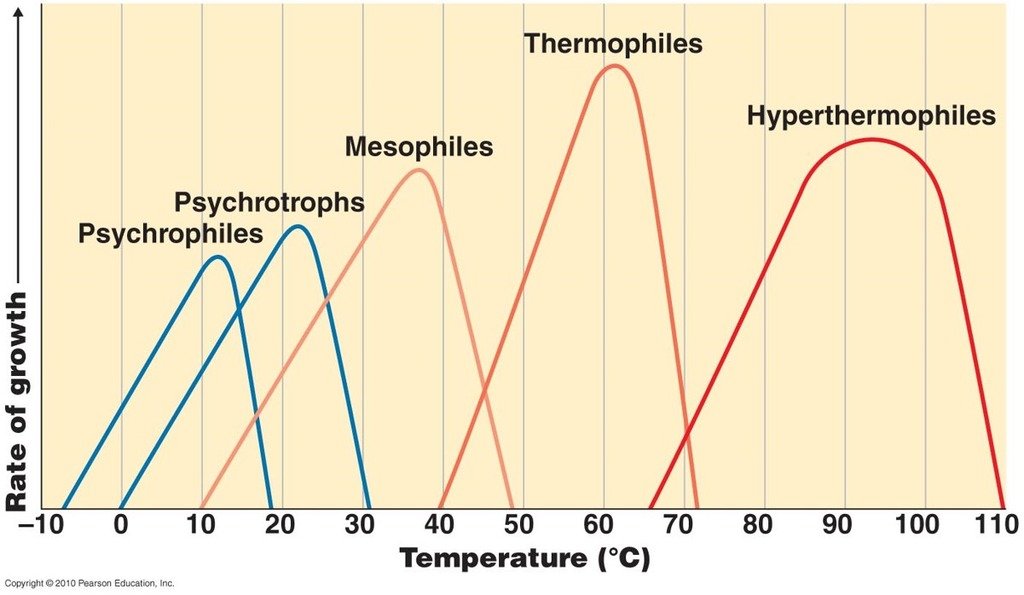 Sazoji's tweet photo. I'm having flashbacks to this *exact* conversation with some shitface premed when I used to tutor micro in grad school.
Guy could not stop smirking during the bacterial diversity and identification portion. https://t.co/tx5OJy1Sm8