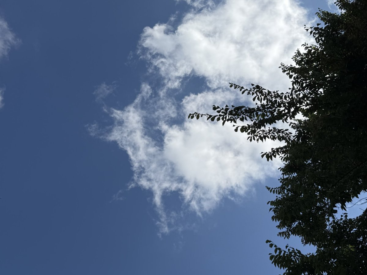 melancholy_irl's tweet photo. 🦌 https://t.co/04KgIj3c9d
