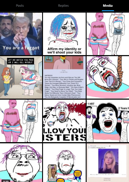 Willowfoxxo's tweet photo. "hur duh trans people are mentally ill" then this is their media tab...💀 https://t.co/gdifOCP5xS