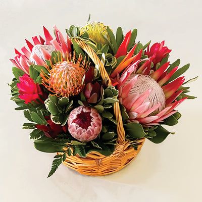 mauifloral's tweet photo. Send a warm Aloha with our Tropical &amp; Protea Basket Arrangement. 🌿 Fully arranged with fresh tropical flowers and striking protea, it brings island style to any home or thoughtful gift moment. https://t.co/AmEg96Y8BZ https://t.co/kh4AHjVFqd