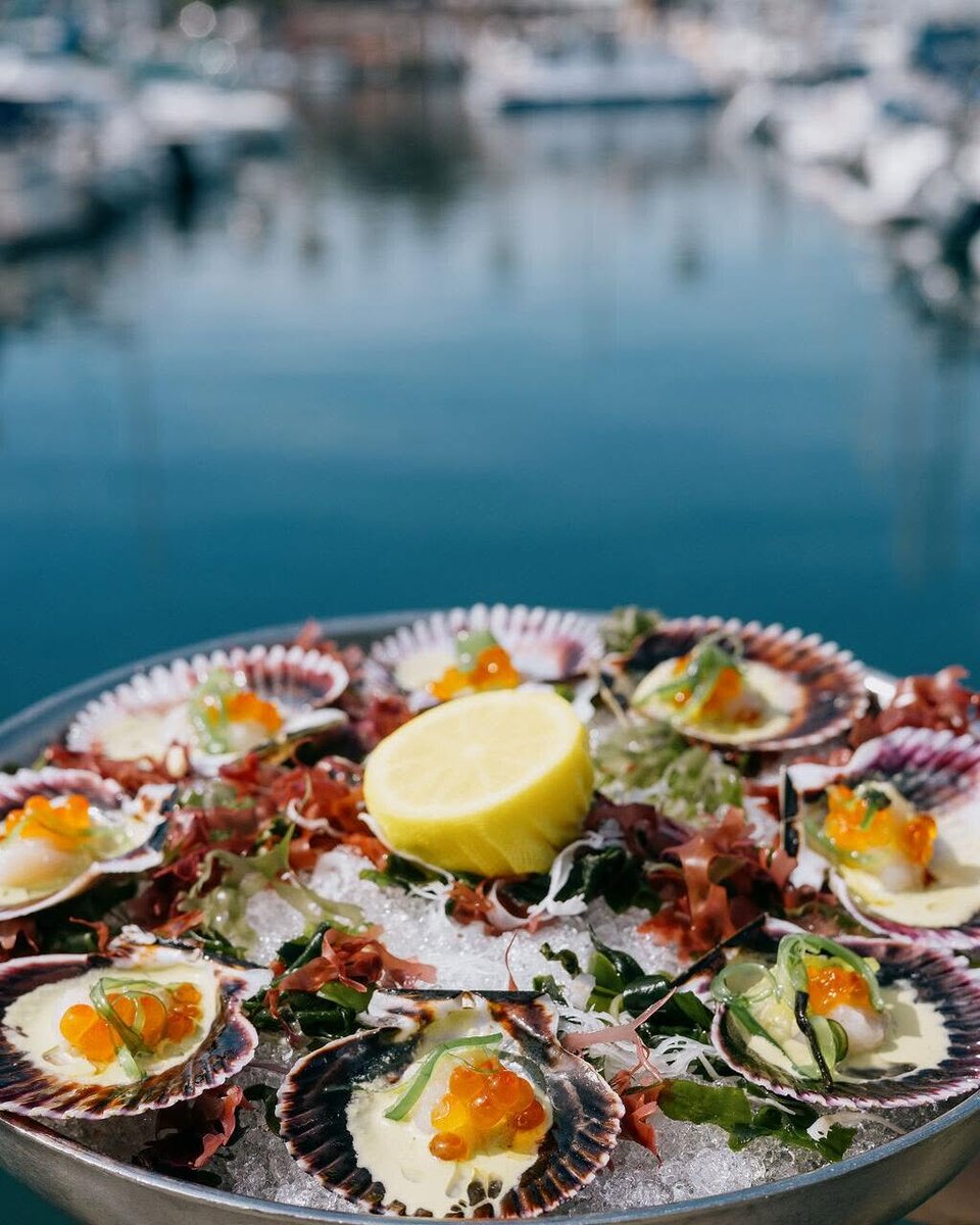 shadehotelrb's tweet photo. Summer and seafood. https://t.co/ziFQEG9DRZ