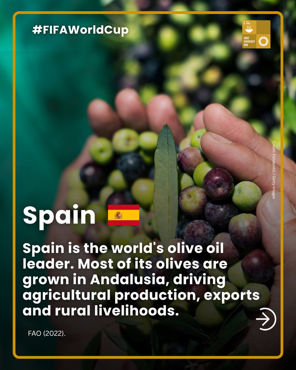 CKabena's tweet photo. ⚽🌾The @FIFAWorldCup semis are about more than players; they’re backed by crops that feed nations: Argentina’s soy, England’s wheat, Spain’s olives, France’s grapes. Cheers to the #farmers powering the game. What are your favourite food from these countries?⬇️ #GoodFood4All https://t.co/1PUy5SD5ho