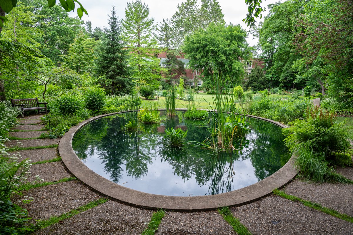 michiganstateu's tweet photo. Oh hey, @MSUBealGarden. https://t.co/OU0BGyR7U9