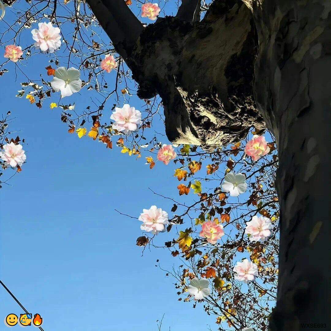 RubyKatrin49204's tweet photo. 🥳 💝 😆 🤩 💕 🥰
💫白虎✨师生👍骚话❤️公交车✨肛交😆SM❤️性瘾🍀原味���娇喘💪校园💫3P🌈玉足

企鹅裙：1818089

X：@zhien52000

飞机：zuoyi1v1

裸聊/连麦/文爱/调教/寸止 https://t.co/gncxmYK7S5