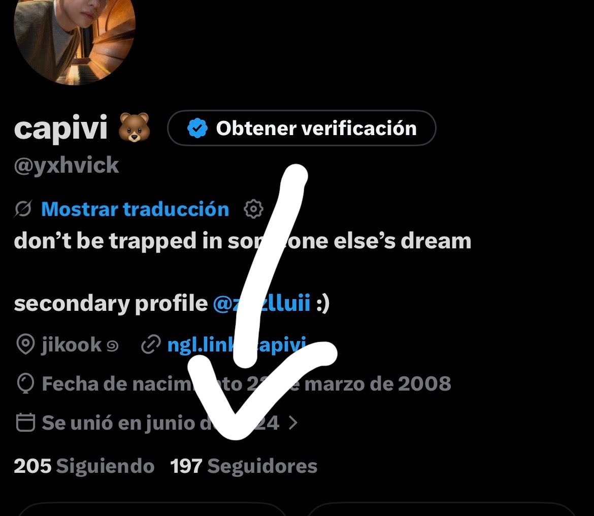 capivi 🐻 tweet media