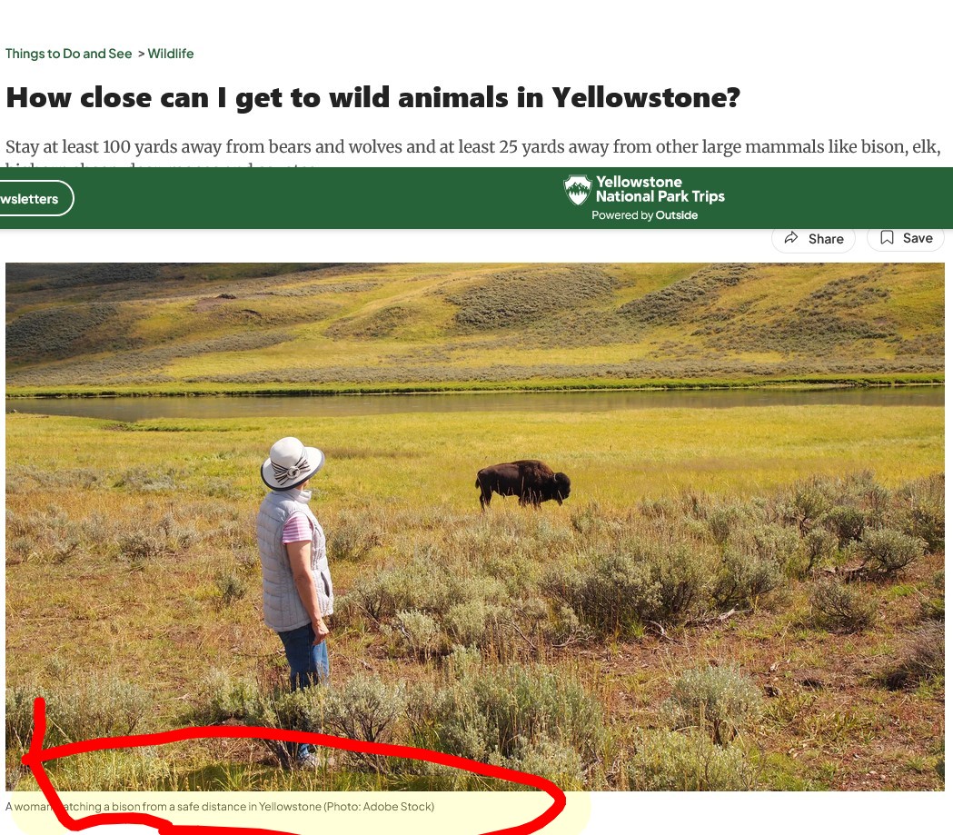 Beth06682045's tweet photo. @MamaWitchNancy @PlanetTyrus I am sure you did, but I don't think this gentleman falls into the category of reckless. From Yellowstone's website: https://t.co/sNGCKVqrxX