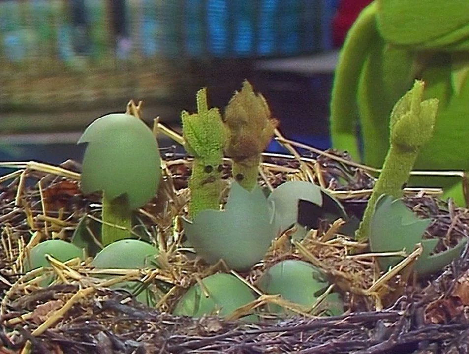 DailyMuppet's tweet photo. Today’s Muppets of the Day are the Baby Asparagus!

After the chickens flock to Paul Simon during his Muppet Show guest appearance, Gonzo turns his attention to asparagus, including trying to hatch them. Astonishingly, he succeeds, but they end up imprinting on Kermit. https://t.co/NDSZsCGxmC