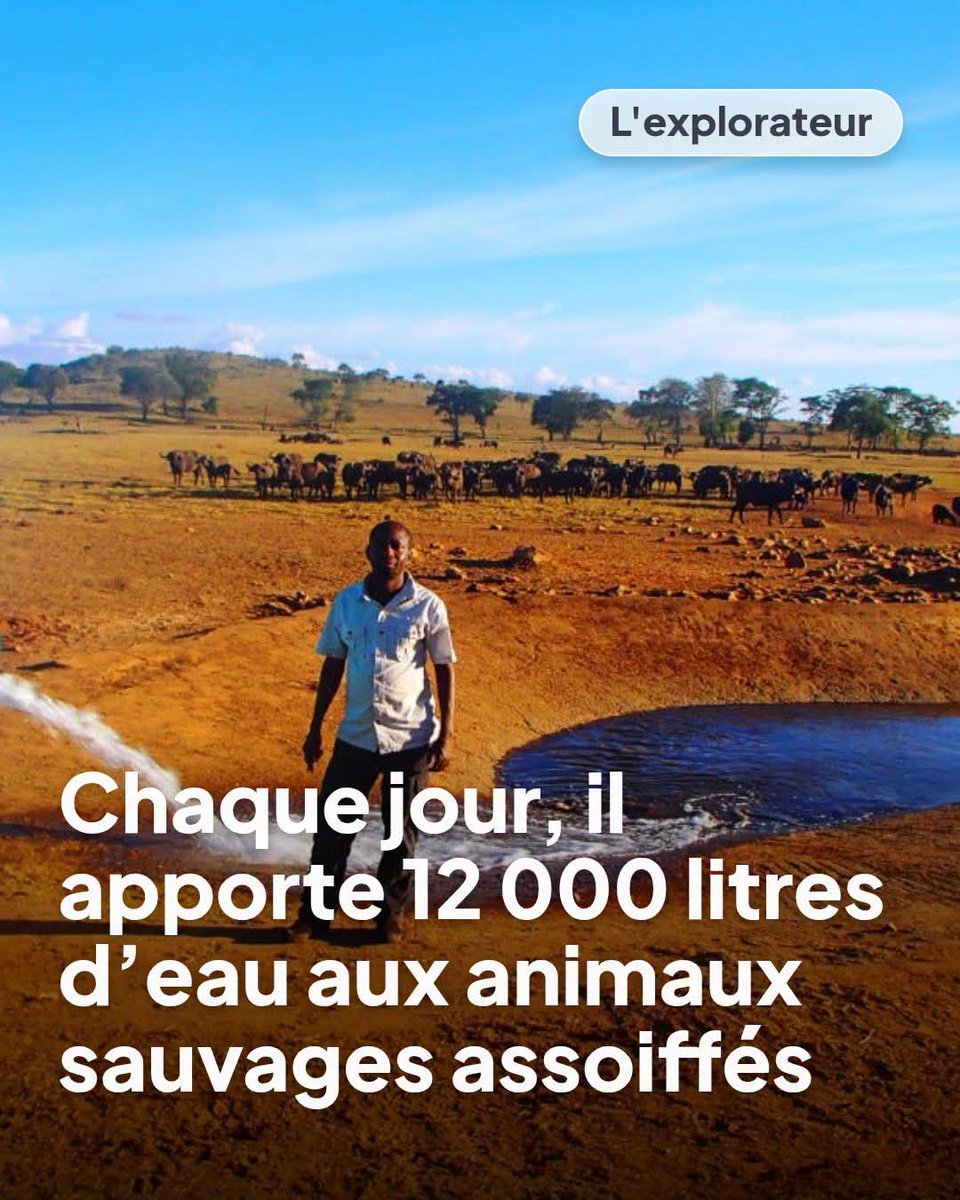 Adea Claude tweet media